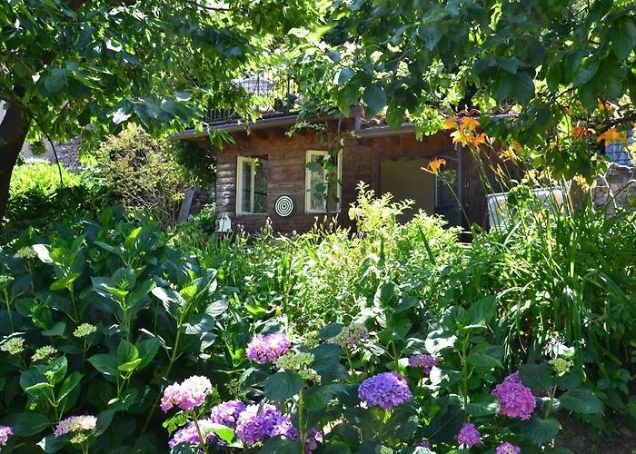 B&B Il Torchio